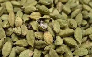 Green Cardomom