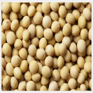 Soybeans